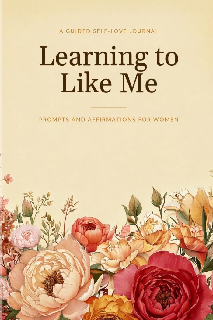 Learning to Like Me cover