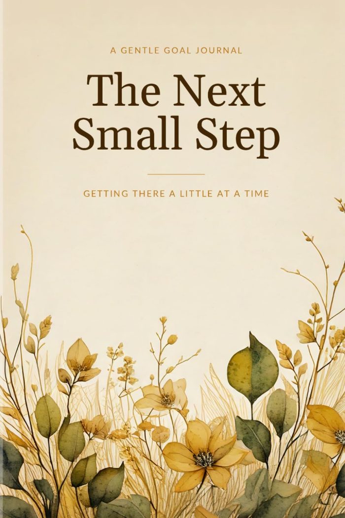 The Next Small Step cover