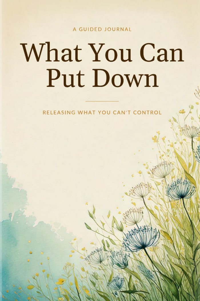 What You Can Put Down cover